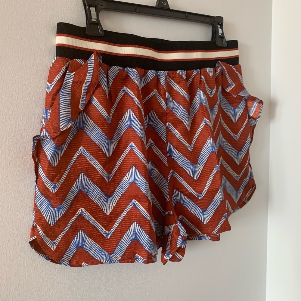 Anthropologie Scotch & Soda Everett Colorful Shorts Size L Rare‎ Find! - Picture 8 of 11